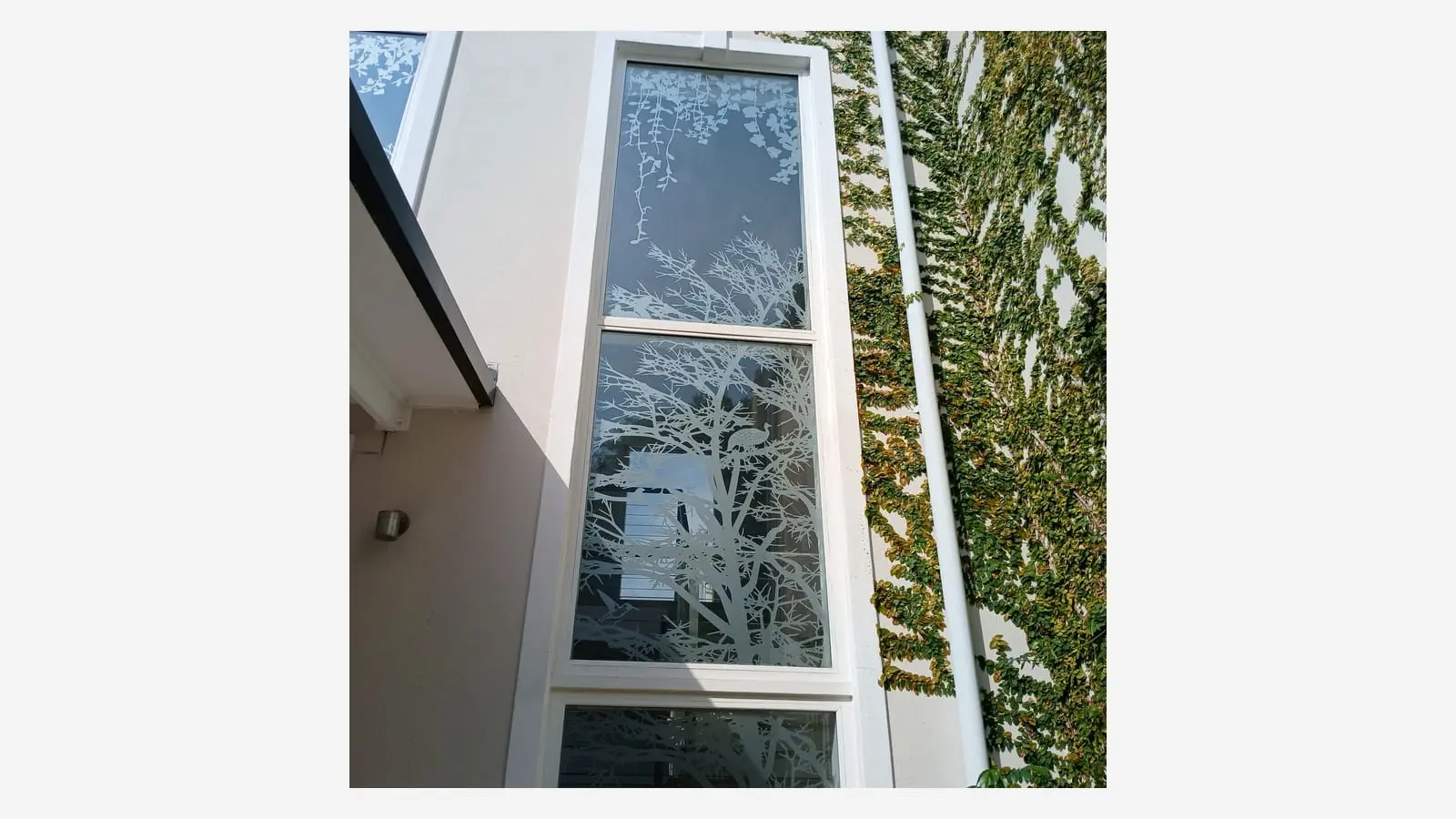 Tall window fitted with a custom frosted vinyl tree and wildlife pattern