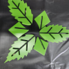 cnc5